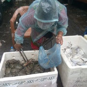 Prayas client doing sale of fish with Prayas support